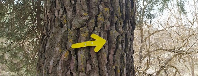 Micro Pilgrimages: Finding Sacred Ground in the&nbsp;Everyday