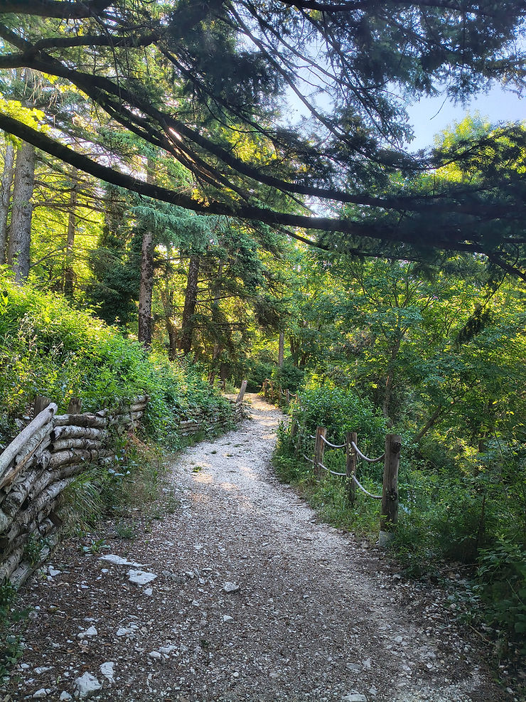 Sunlit gravel forest path with rope railings and dense green trees overhead, leading into a quiet wooded trail.